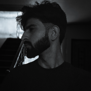 Salik Mir-Freelancer in Srinagar,India