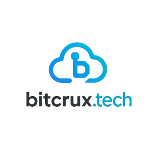 Bitcrux Technologies-Freelancer in New Delhi,India