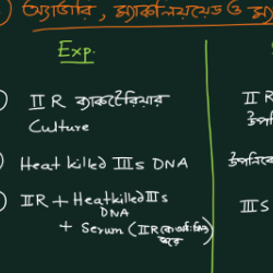 Rajanya Chatterjee-Freelancer in Medinipur Division,India