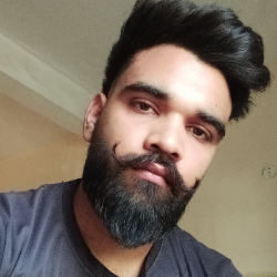 Ranveer Singh-Freelancer in Ludhiana,India