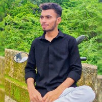 Parmar Nisarg-Freelancer in Ahmedabad,India