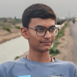 Vyom Vithlapara-Freelancer in Halvad,India