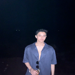 Vansh Chauhan-Freelancer in Mumbai,India