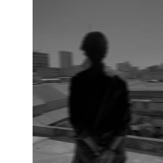 Zain Shah-Freelancer in Karachi,Pakistan