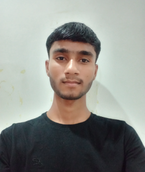 Vivek Kumar-Freelancer in Dharauli,India