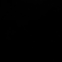 Rohit Kamboj-Freelancer in Firozepur Division,India