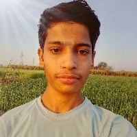 Navneet K Trivedi-Freelancer in Maholi,India