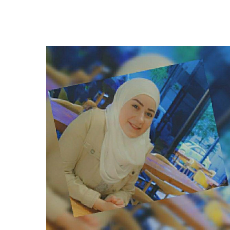 Nemat Shbib-Freelancer in ,Saudi Arabia