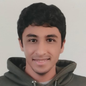 Ahmed Sherif-Freelancer in ,Egypt