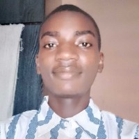 Temiloluwa Lasunloye-Freelancer in Ado-Ekiti,Nigeria