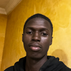 Farouk Umar-Freelancer in Abuja,Nigeria