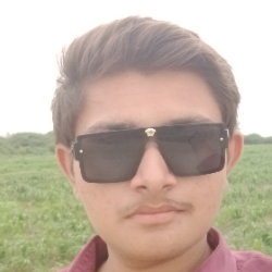 CHAUHAN JAYDIP-Freelancer in Dhrangadhra,India