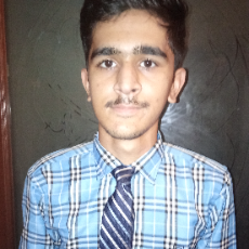 Syed Ali Iqbal-Freelancer in Karachi,Pakistan