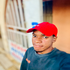 Mcmillian Edwin-Freelancer in Mararaba,Nigeria