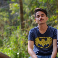 Nilay Singh-Freelancer in Jaipur,India