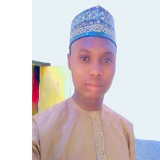 Abdulaziz Garba-Freelancer in Katsina,Nigeria