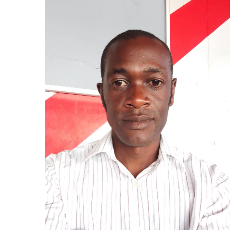 Matthew Ndarimani-Freelancer in Harare,Zimbabwe