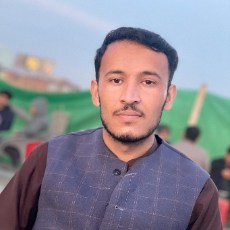 Hamid Khan-Freelancer in Tanaie,Pakistan