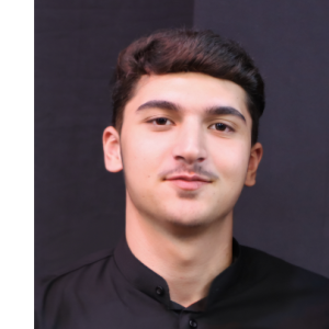 Seyed Javad Hoseeini-Freelancer in Amsterdam,Netherlands