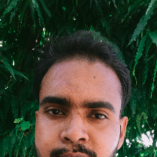 Sobhit Kumar-Freelancer in Budhanpur bijnor,India