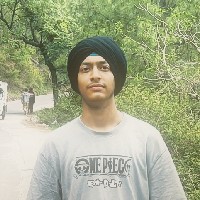 Tanveer Singh-Freelancer in Ambala Division,India
