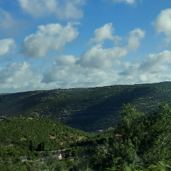 Noor Alkhashashneh-Freelancer in Amman,Jordan