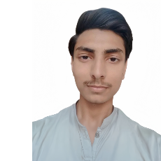 Rana Zaviyan Akram-Freelancer in Shahdara,Pakistan