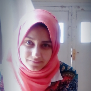 Aya Kamal Elshazly-Freelancer in Tanta,Egypt