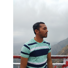 Ankit Kumar-Freelancer in Kapurthala,India