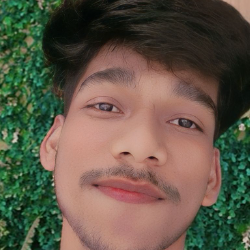 Damru basfor-Freelancer in Basattihal,India