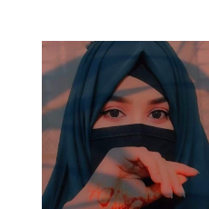 Rabia Mehar-Freelancer in Faisalabad,Pakistan