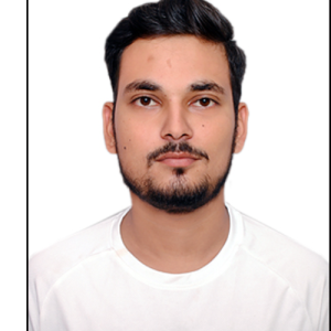 Abhay Pratap Singh-Freelancer in Lucknow,India