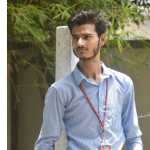 Sharik Ansari-Freelancer in muzaffarnagar,India