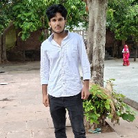 Lovekush Meena-Freelancer in Jaipur Division,India