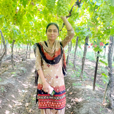 Nayana Jadhav-Freelancer in Nashik,India