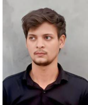 Md Faiz Shaikh-Freelancer in GHAZIABAD,India