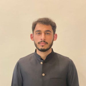 Ali Hamza-Freelancer in Pahrianwali,Pakistan