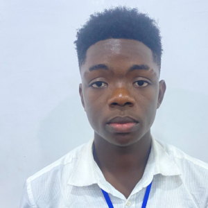 Temiloluwa Dominion-Freelancer in Akure,Nigeria