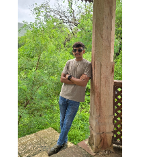 Hardik Vaghamshi-Freelancer in Ahmedabad,India