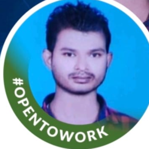 Ashwini Kumar-Freelancer in Ellenabad,India