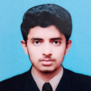 Muhammad Tayyab-Freelancer in Faisalabad,Pakistan