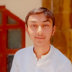 Ali Khan-Freelancer in hyderabad,Pakistan