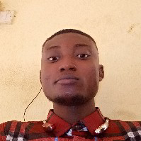 Michael Ibitoye-Freelancer in ,Nigeria