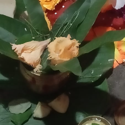 Ajaya Pati-Freelancer in Bangalore Division,India