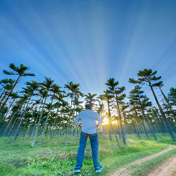 Aditya Sharma-Freelancer in Indore,India