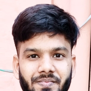 Rajeev Kumar-Freelancer in Noida,India