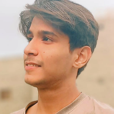 Abdullah Ali Burney Ali Burney-Freelancer in Karachi,Pakistan