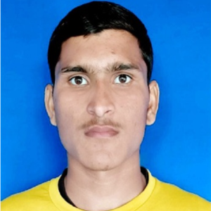 Bharat Pratap-Freelancer in RAYA,India