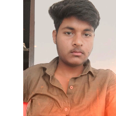 Sahil Raj-Freelancer in Ballia,India