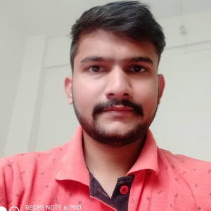 Achal Jain-Freelancer in ,India